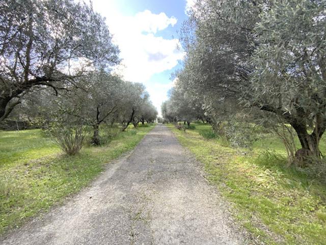 Vente Terrain 7323 m2 Uzès