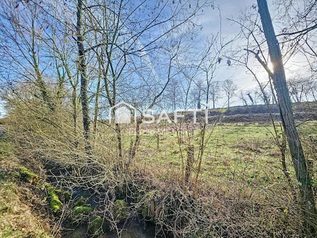 Vente Terrain 7325 m2 Pulligny