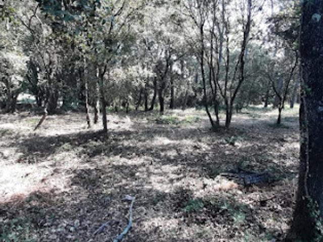 Vente Terrain 732 m2 Le Thoronet
