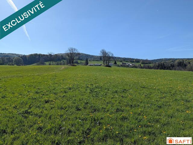 Vente Terrain 7350 m2 Foncine le Bas