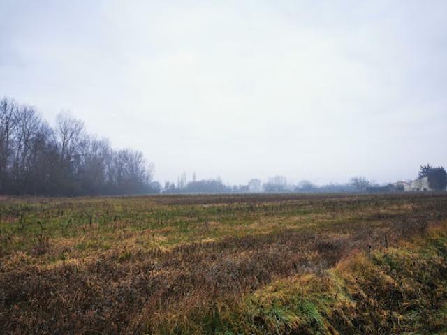 Vente Terrain 735 m2 Viterbe