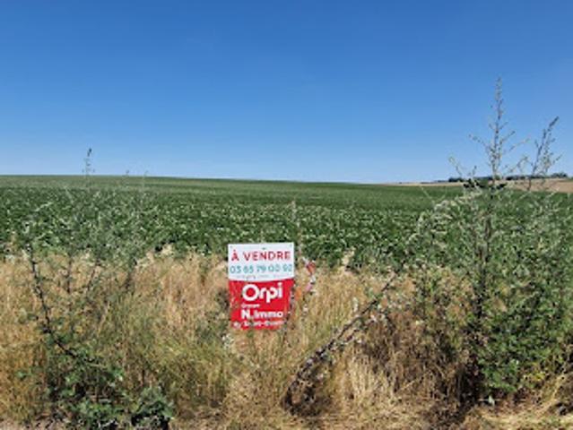 Vente Terrain 736 m2 Homblières