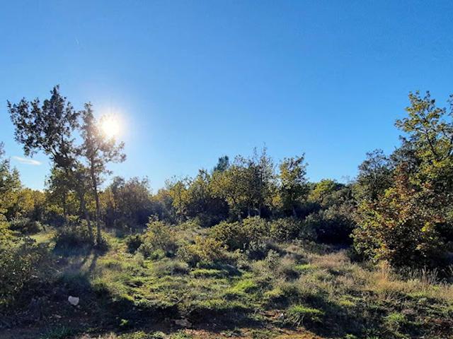 Vente Terrain 73730 m2 Régusse