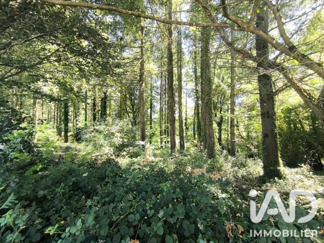 Vente Terrain 7 084 m²