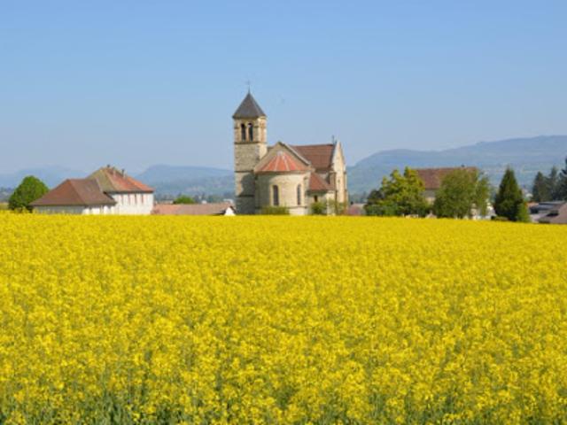 Vente Terrain 840 m2 Saint Jean d'Avelanne
