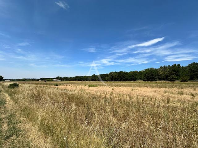 Vente Terrain 8421 m2 Vinon sur Verdon