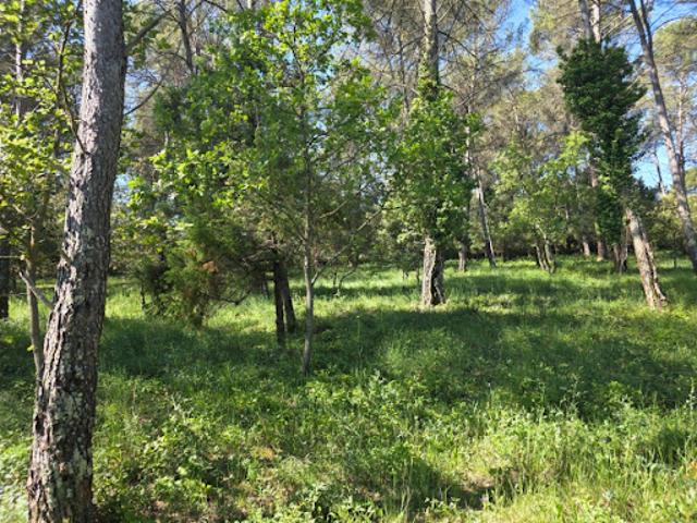 Vente Terrain 847 m2 Garéoult