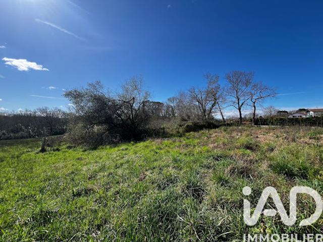 Vente Terrain 844 m2 Arcangues