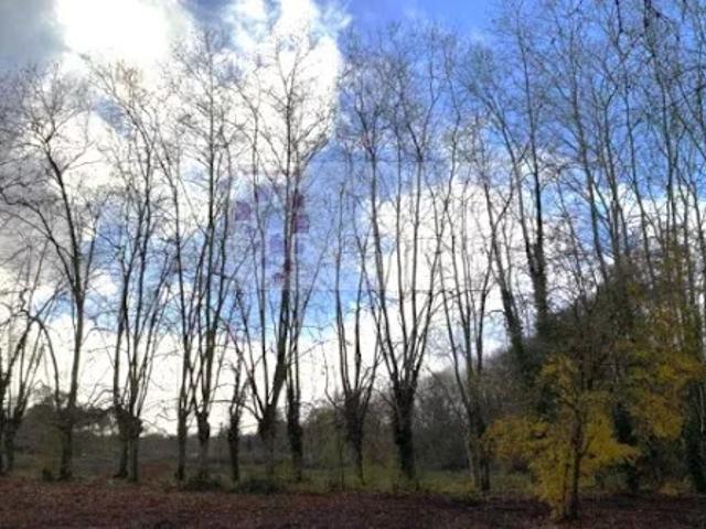 Vente Terrain 845 m2 Martillac