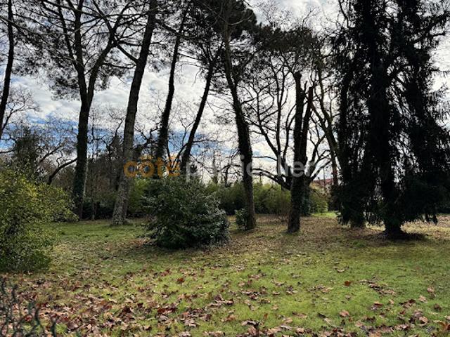 Vente Terrain 845 m2 Mont de Marsan