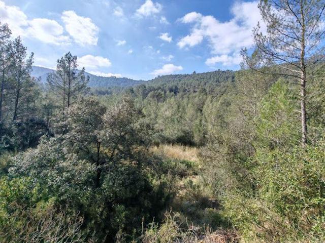 Vente Terrain 8475 m2 Solliès Toucas