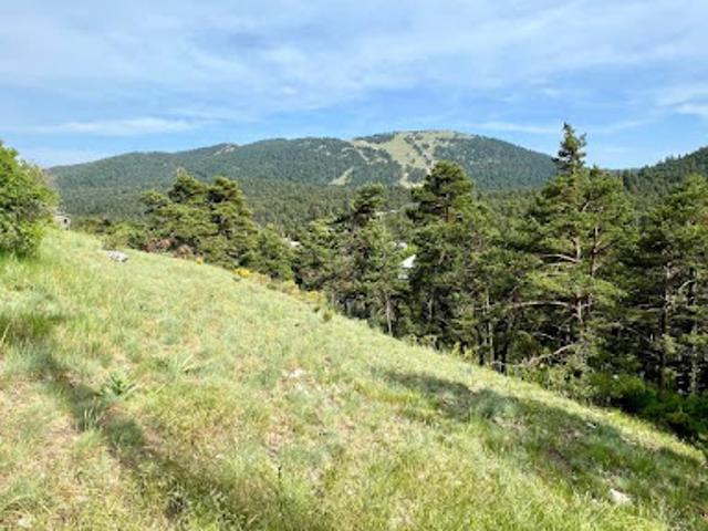 Vente Terrain 848 m2 Caille