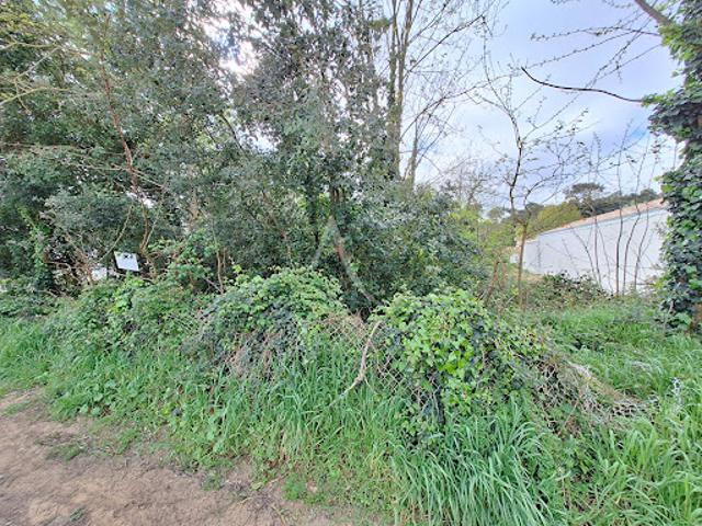 Vente Terrain 848 m2 La Tranche sur Mer