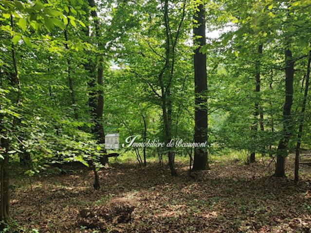 Vente Terrain 8490 m2 Beaumont le Roger