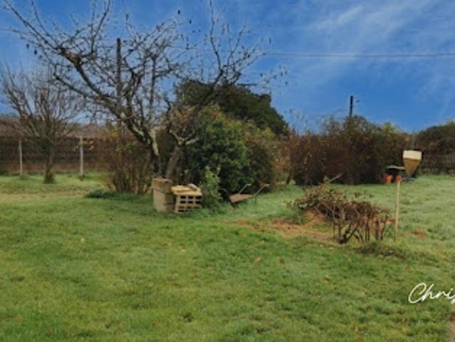 Vente Terrain 850 m2 Chauvigny