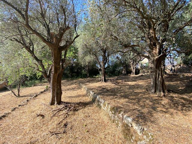 Vente Terrain 850 m2 Grasse