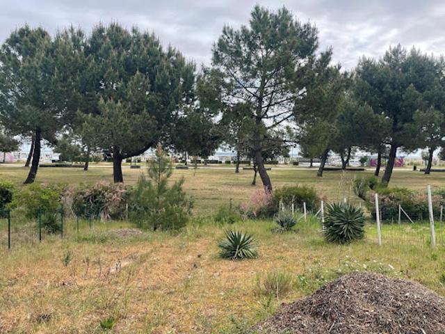 Vente Terrain 850 m2 Le Verdon sur Mer