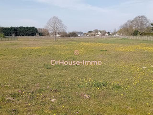 Vente Terrain 852 m2 Savigné sur Lathan