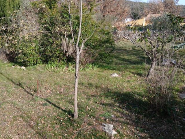 Vente Terrain 857 m2 Garéoult