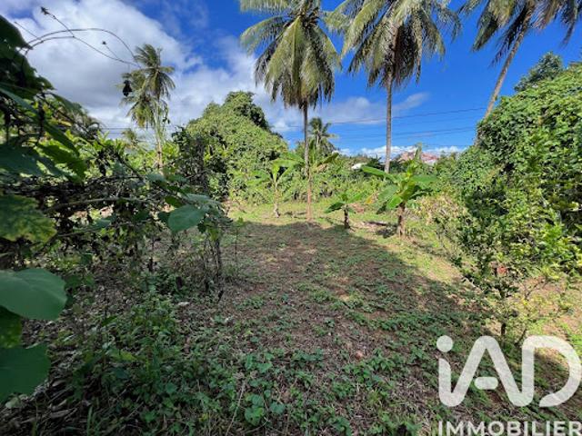 Vente Terrain 854 m2 Capesterre Belle Eau