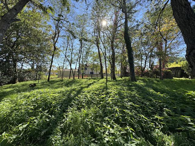 Vente Terrain 854 m2 Saint Yzan de Soudiac