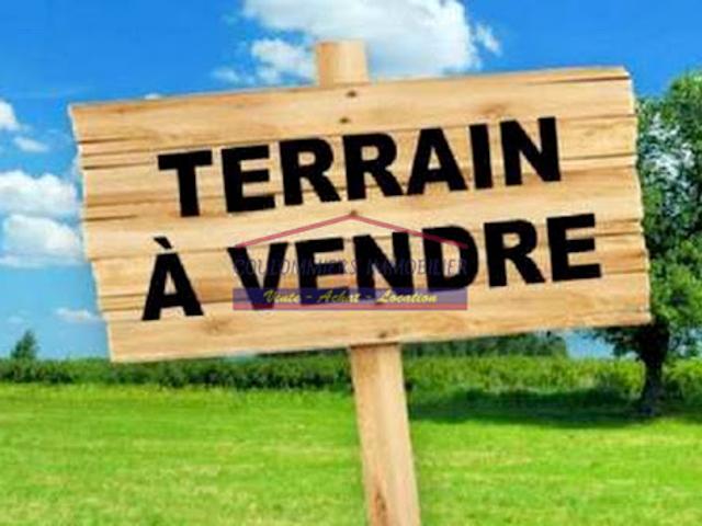 Vente Terrain 856 m2 Chailly en Brie