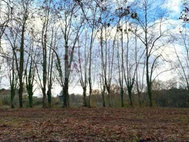 Vente Terrain 858 m2 Martillac