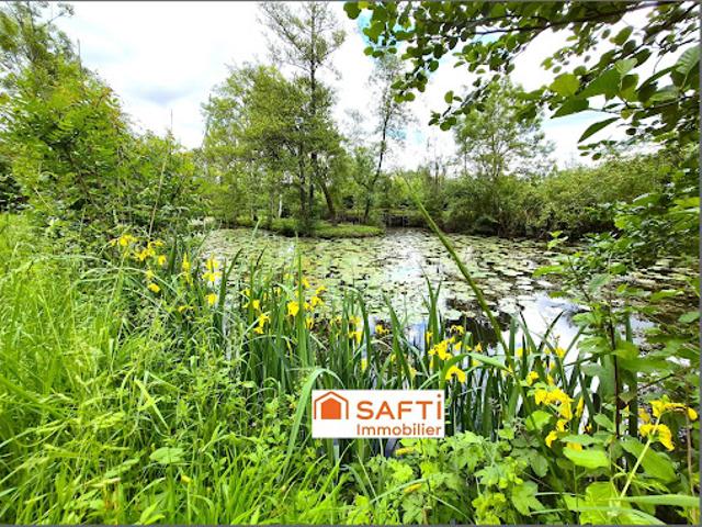 Vente Terrain 8600 m2 Abilly