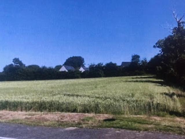 Vente Terrain 8600 m2 Landudal
