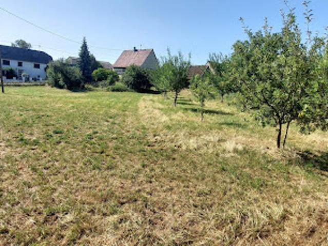 Vente Terrain 860 m2 Dimbsthal