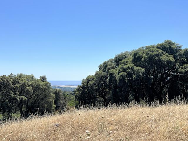 Vente Terrain 8630 m2 Bastelicaccia