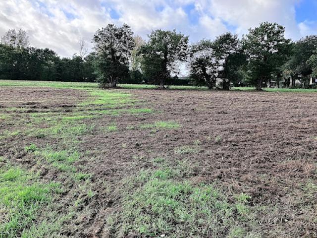 Vente Terrain 864 m2 Andouillé Neuville