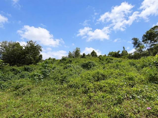 Vente Terrain constructible 865 m2 Les abymes