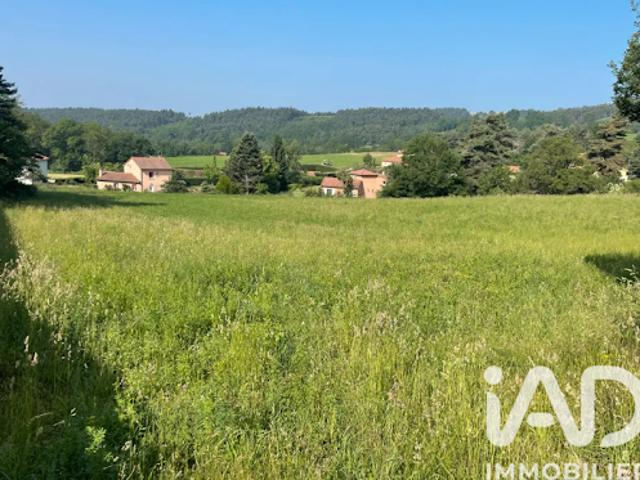 Vente Terrain 866 m2 Chaspinhac