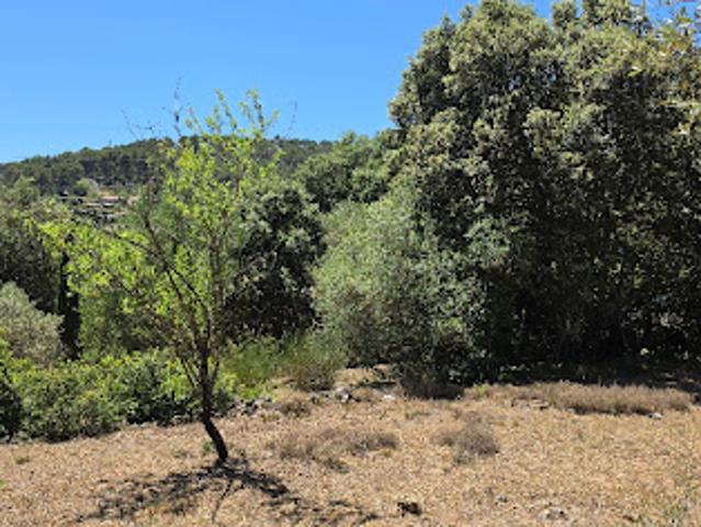 Vente Terrain 870 m2 Carnoules