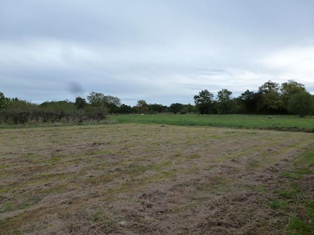 Vente Terrain 870 m2 Sadirac
