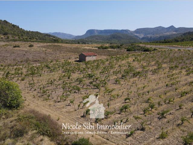 Vente Terrain 8710 m2 Tautavel
