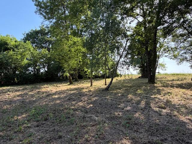Vente Terrain 871 m2 Saint Dizier