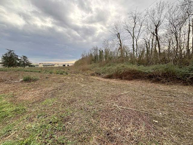 Vente Terrain 8727 m2 Montbartier
