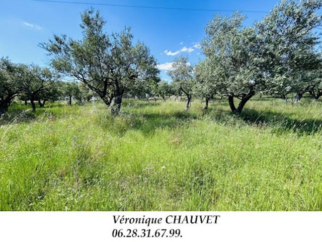 Vente Terrain 872 m2 Flayosc