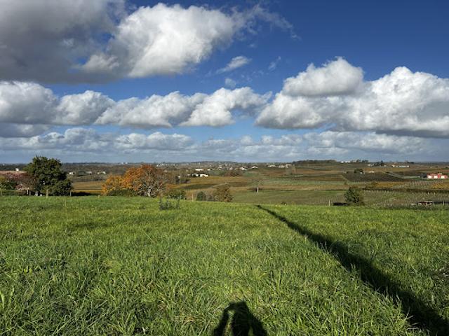 Vente Terrain 874 m2 Langon