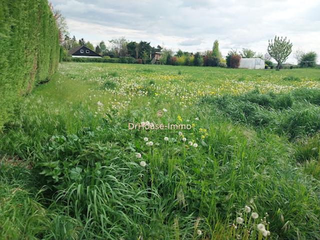 Vente Terrain 874 m2 Sainghin en Mélantois