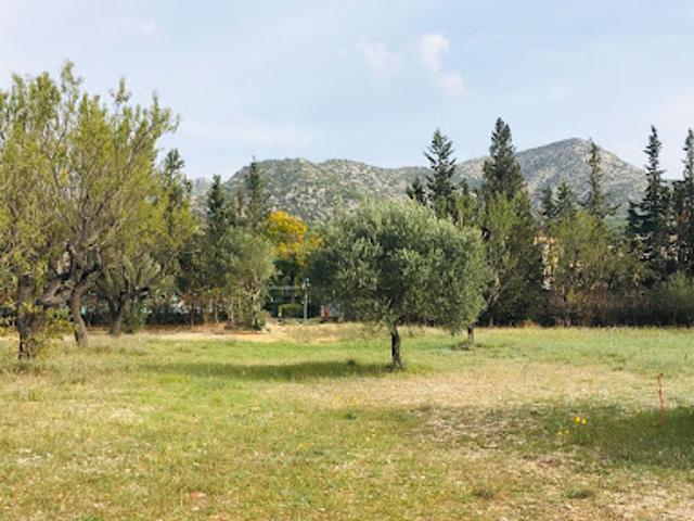 Vente Terrain 875 m2 Gemenos