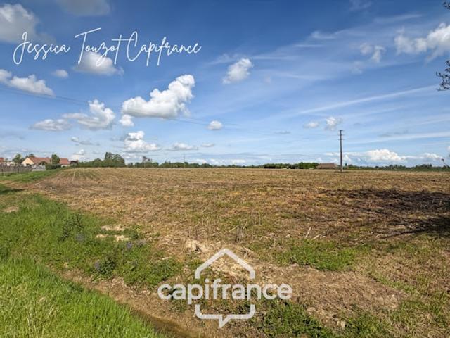 Vente Terrain 8765 m2 Saint Christophe en Bresse