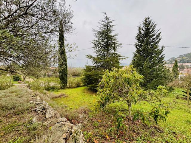 Vente Terrain 880 m2 Carnoules