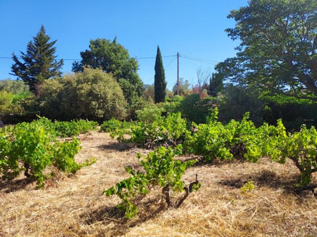 Vente Terrain 880 m2 Sainte Anastasie sur Issole