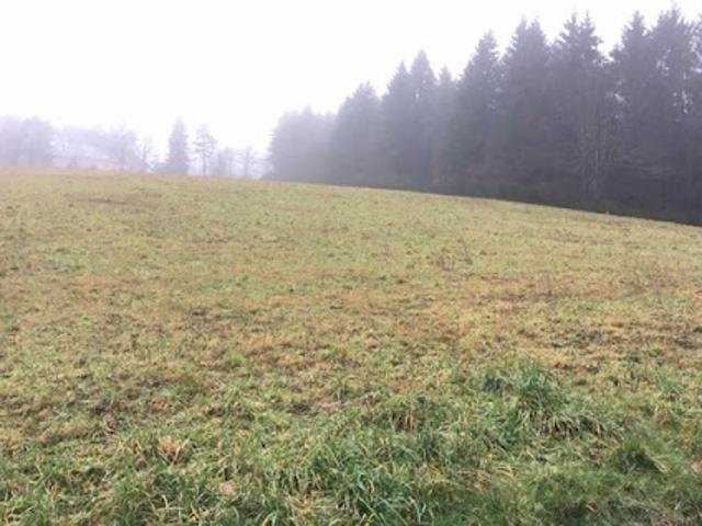 Vente Terrain 887 m2 Is sur Tille