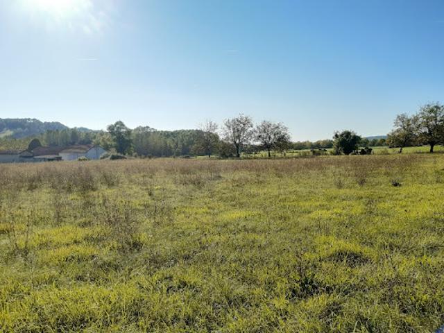 Vente Terrain 884 m2 Grignols