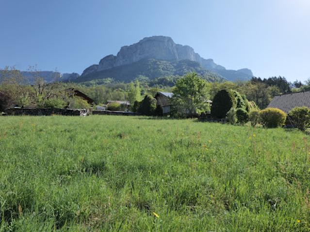 Vente Terrain 888 m2 Dingy Saint Clair