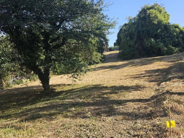 Vente Terrain 892 m2 Epernay